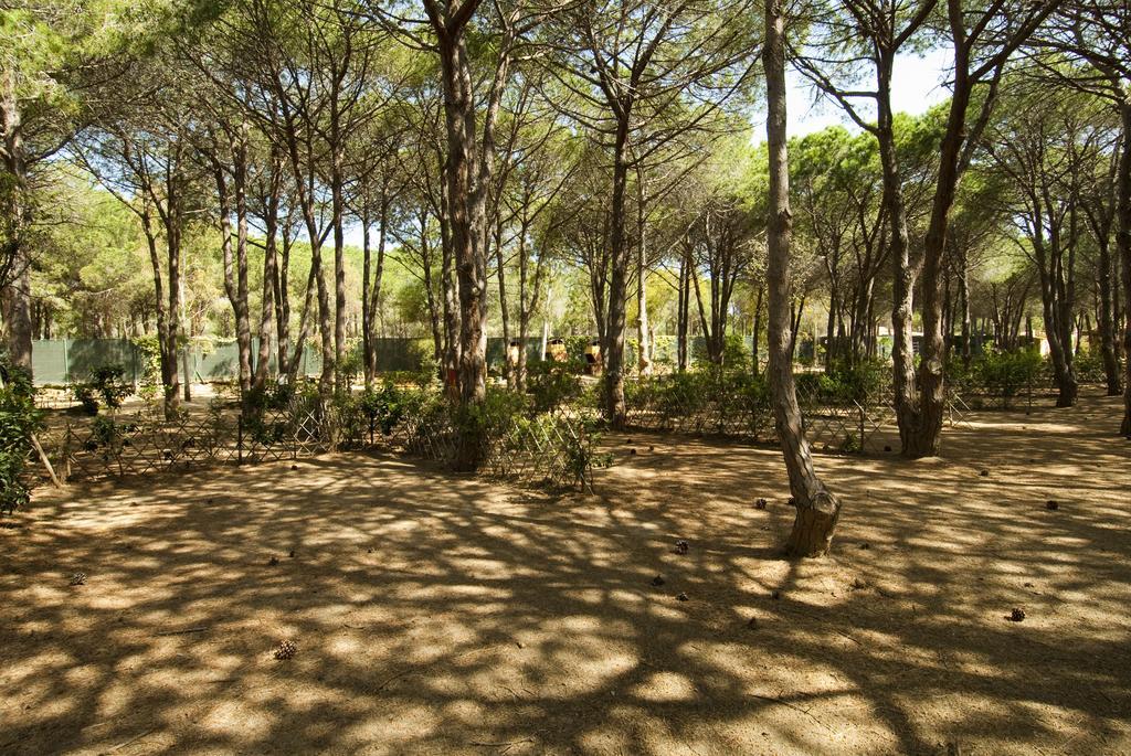 Villaggio Camping Spiaggia Del Riso Villasimius Eksteriør billede
